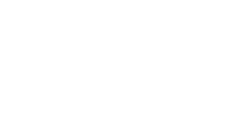 The Second Last Leprechaun